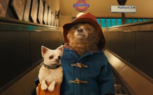 paddington-bear-mo_3058736k