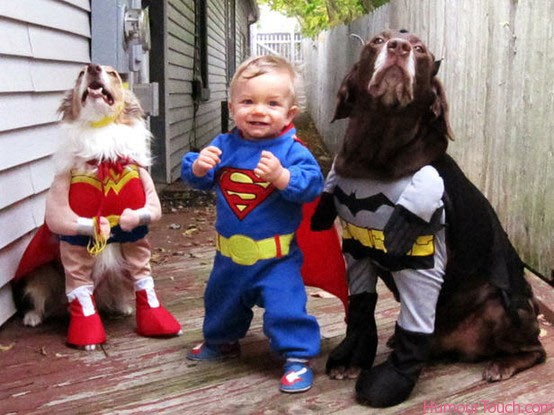 toddler-and-dogs-dressed-up-as-superheroes