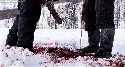 tumblr_my816oqRJG1t0demio1_500