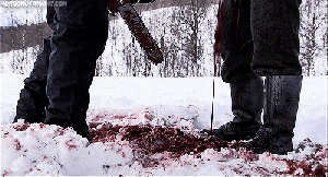 tumblr_my816oqRJG1t0demio1_500