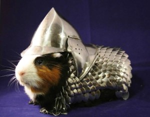 10-o-GUINEA-PIG-ARMOR-facebook-610x475