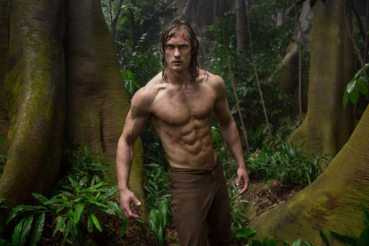 01-tarzan_w529_h352