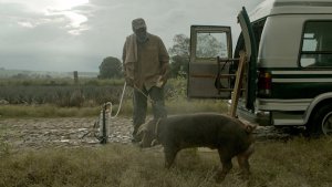 000070-26554-16618_mrpig_still1_dannyglover__bydamingarca_-_h_2016