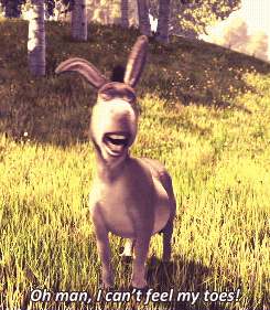 tumblr_memaanhvik1qk381no1_r2_250