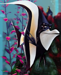 1000px-Gill-FindingNemo3D