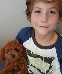 b0d3c2e59c77845d83baab01078af08f